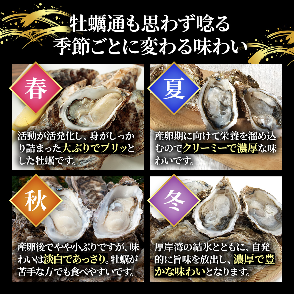 【 3ヵ月 定期便 】 厚岸産 ブランド 殻付カキ マルえもん 生食用 サイズ食べ比べ 12個 (LL・L各6個)[ 魚貝類 生牡蠣 かき 牡蠣 カキ 生ガキ 食べ比べ ]