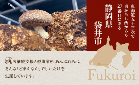 【遠州どまんなかしいたけ】 生しいたけ・乾燥しいたけセット (生しいたけ 約400g , 乾燥しいたけ　丸小 30g1袋 , スライス 小35g2袋)　干し椎茸 産地直送 国産 料理 素材 出汁 日本