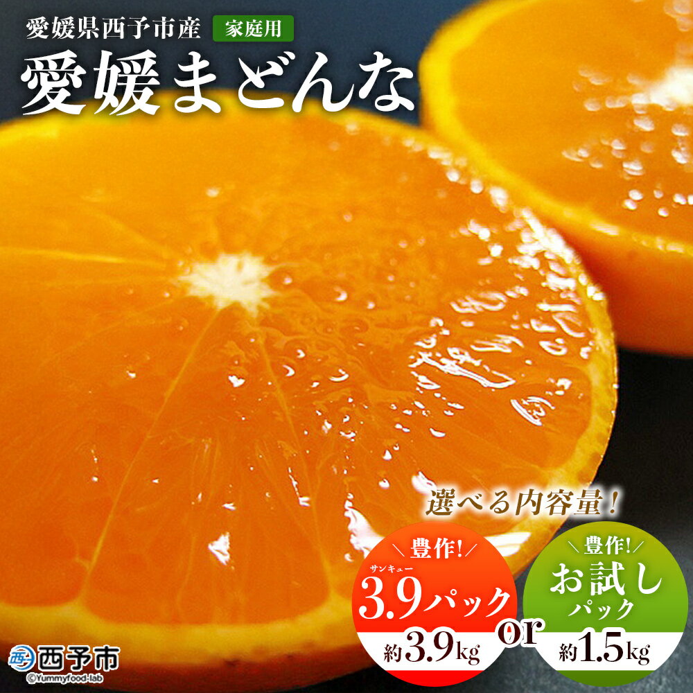 【ふるさと納税】紅まどんなと同品種！＜愛媛県西予市産 愛媛まどんな 家庭用 豊作 3.9パック 約3.9kg／お試しパック 約1.5kg＞ 選べる 訳あり 柑橘 果物 フルーツ 愛媛果試第28号 マドンナ 食べて応援 宇都宮物産【常温】『2025年12月上旬～12月下旬迄に順次出荷予定』