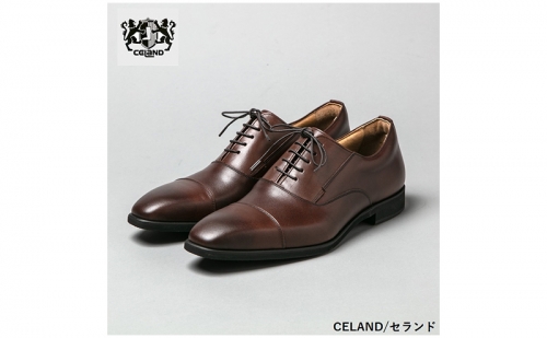 CELAND 牛革ラクチン軽量ビジネスシューズ 紐タイプ 紳士靴 (ストレートチップ）ダークブラウン CE1201