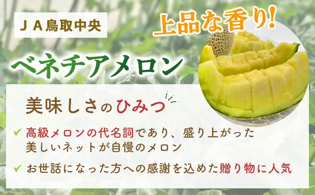 ベネチアメロン 約2.7kg【倉吉産】（7月発送） 2026 メロン