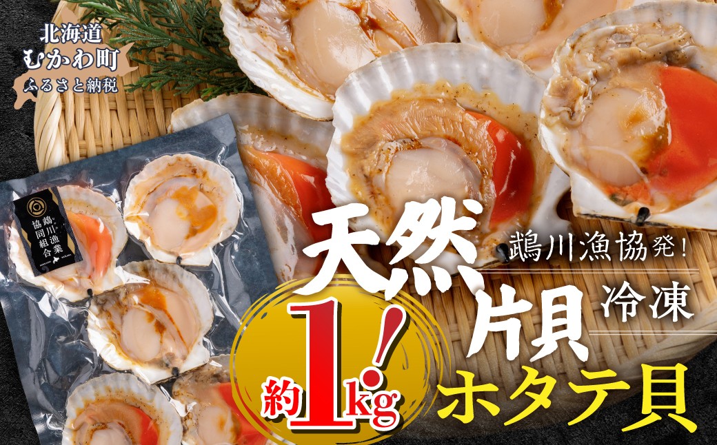 
                  鵡川漁協発！天然片貝冷凍ホタテ貝（約1kg） 【 ふるさと納税 人気 おすすめ ランキング 天然ホタテ 片貝ホタテ 冷凍ホタテ 北海道産ホタテ 帆立貝 海鮮BBQ バター焼き 海鮮グルメ 大粒ホタテ お取り寄せ海鮮 北海道 むかわ町 送料無料 】 MKWV005
                