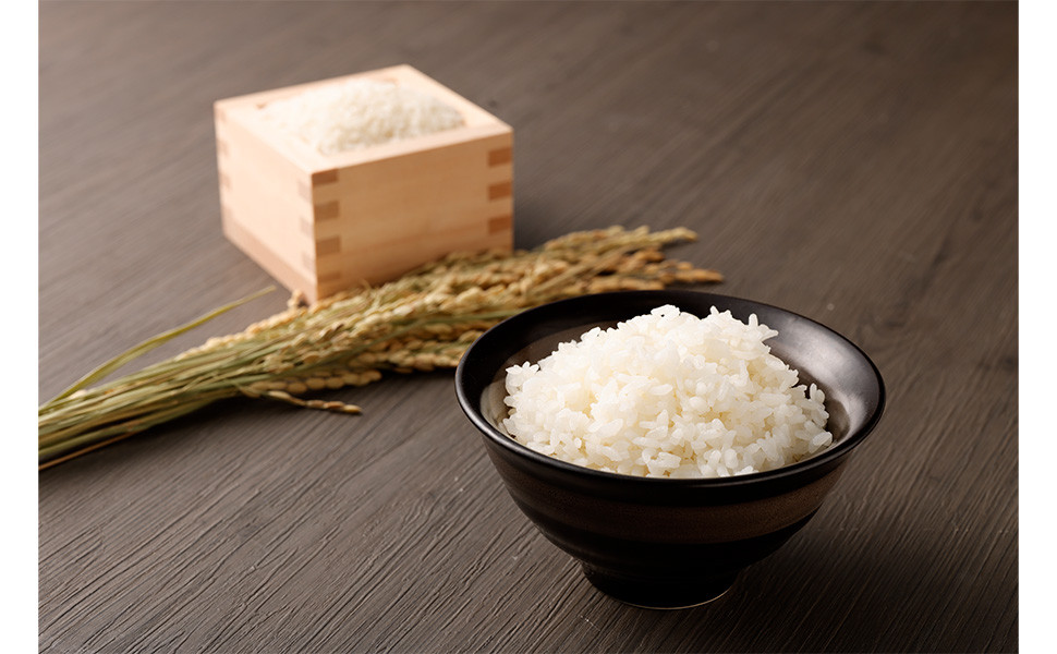 極源流米 計15kg（5kg×3袋） 令和7年度産 夢つくし 元気つくし