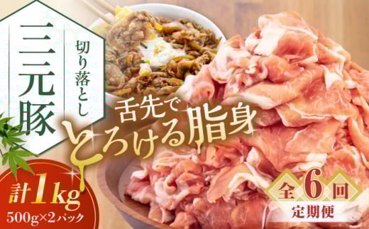 【全6回定期便】平田牧場 切り落とし 1kg (500g×2P) 《喜茂別町》【平田牧場】 肉 豚肉 生姜焼き 小分け 冷凍 冷凍配送 定期便 定期 北海道 平田牧場 三元豚 [AJAP032] 66000 66000円