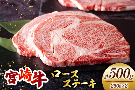 宮崎牛 ロース ステーキ 250g×2[ミヤチク 宮崎県 美郷町 31au0074] 牛肉 肉 冷凍 宮崎県産 国産 霜降り サシ BBQ バーベキュー