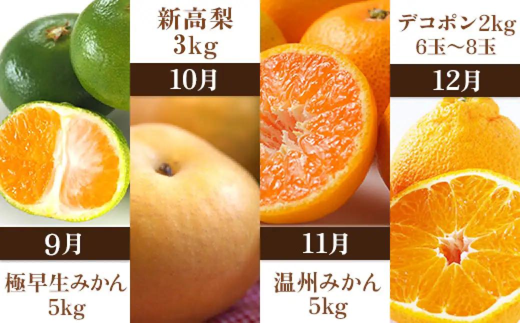 ＜ R8年熊本地震復興支援 ＞プロが選ぶ！旬の果物 10ヶ月定期便 【2027年3月上旬～12月下旬発送予定】 フルーツ いちご 柑橘 メロン スイカ シャインマスカット 梨