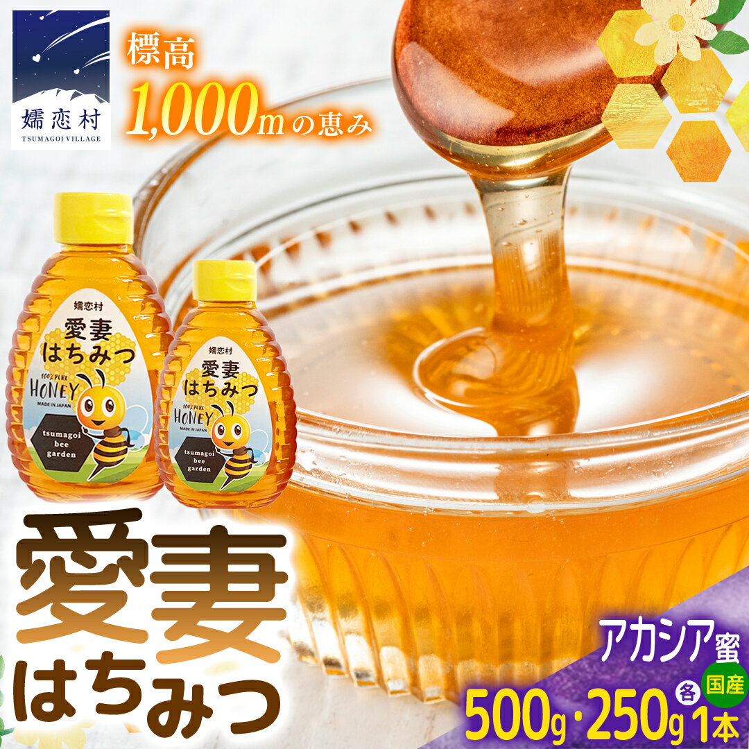 【ふるさと納税】嬬恋村 愛妻はちみつ ( アカシア ) 500g と 250g の 2個 セット はちみつ 国産 ハチミツ 蜂蜜 群馬 アカシア