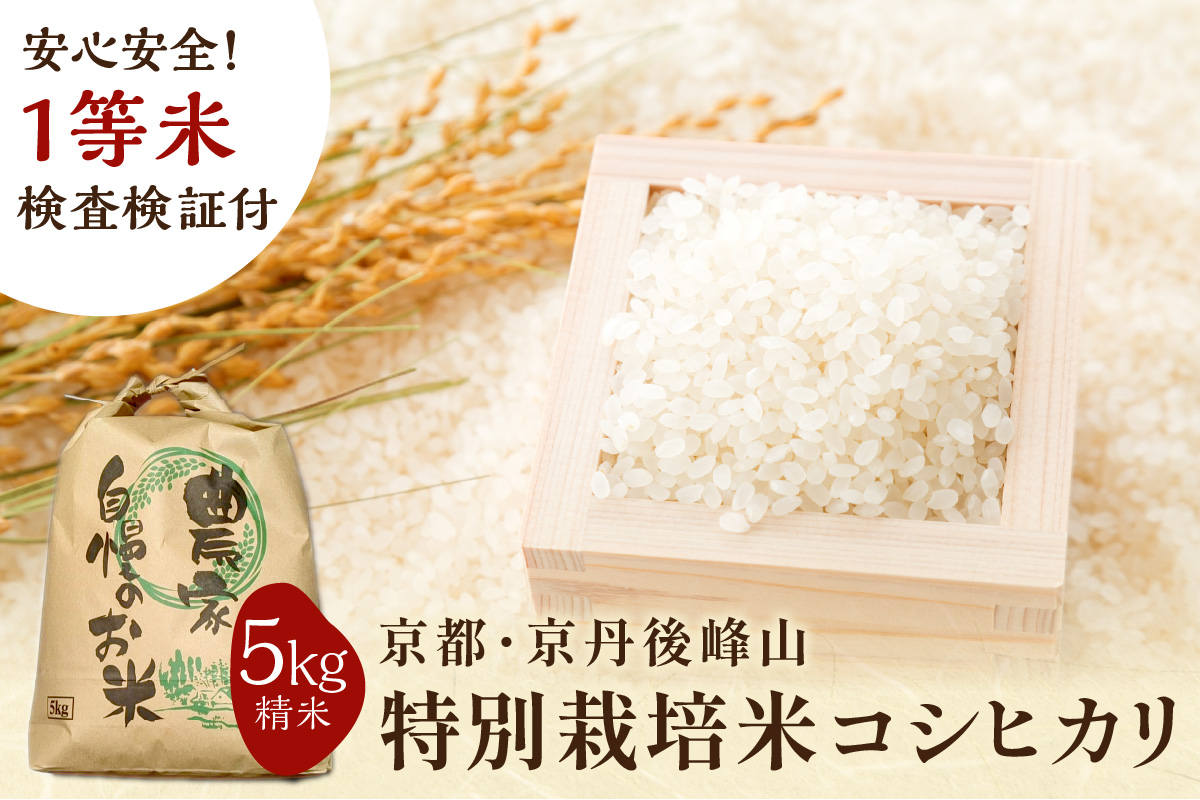 2025年産 京都・京丹後峰山 特別栽培米コシヒカリ 5kg 【白米】 1等米 検査済証付　MF00047