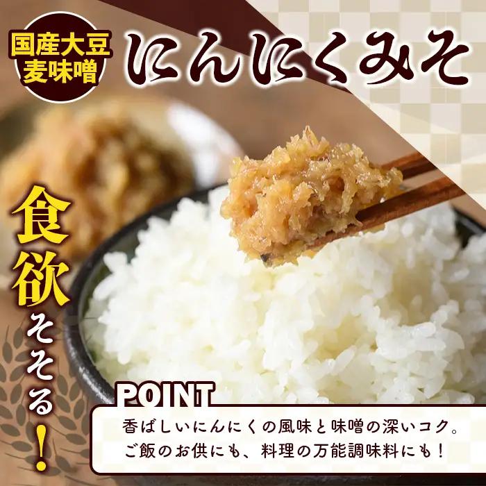国産大豆麦味噌使用！ご飯のお供セット(豚みそ+にんにくみそ・合計6パック) 国産 味噌 みそ 麦味噌 麦みそ 豚味噌 ぶたみそ にんにく味噌 自家製 手作り ごはんのお供 おかず おつまみ 万能調味料