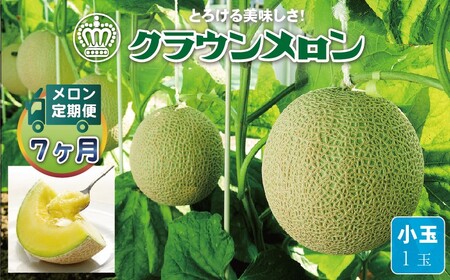 【毎月定期便】クラウンメロン(白等級) 小玉1玉 全7回 7126