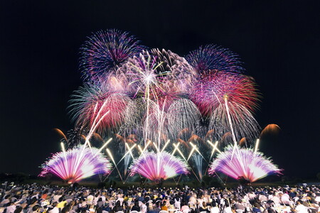 CV08_まくらがの里　ふるさと古河応援寄附金30,000円【返礼品なし】