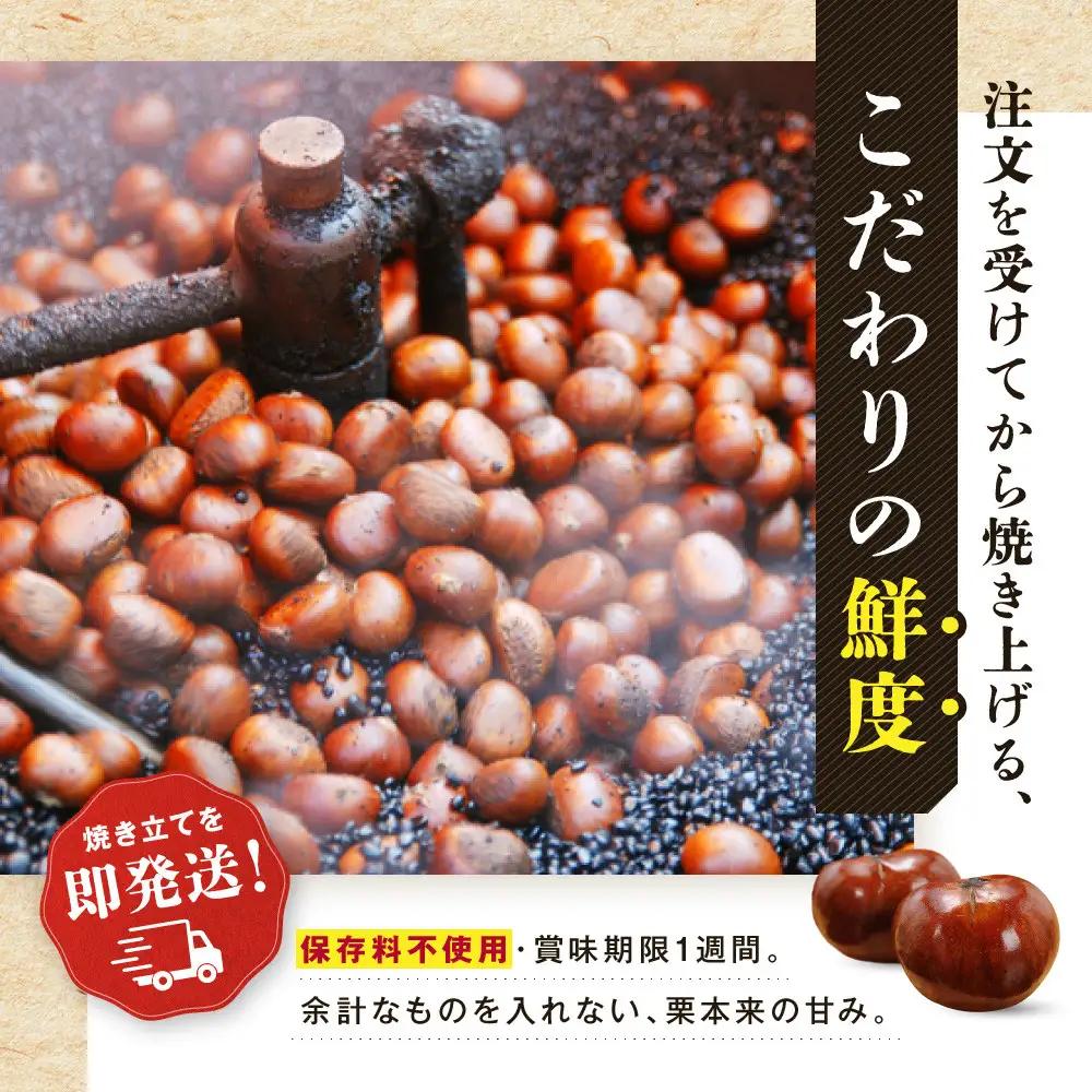 無添加 大粒天津甘栗 4.5kg 甘栗