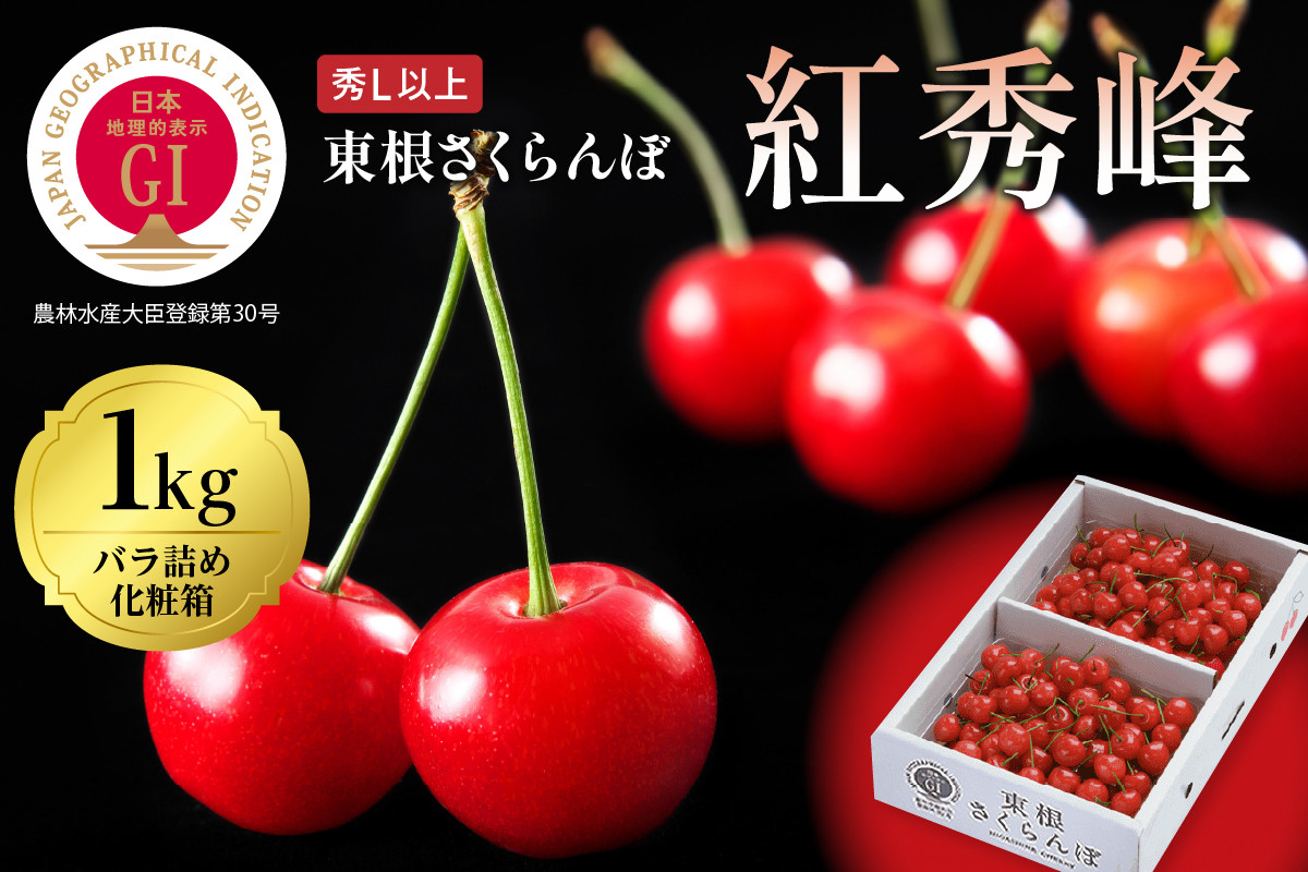 
            2026年 GI東根さくらんぼ「紅秀峰」1kgバラ詰め(500g×2ﾊﾟｯｸ) 秀品 Lサイズ 東根農産センター提供 山形県 東根市 hi027-223
          