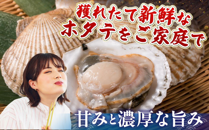 ほたて ホタテ 帆立 海鮮 冷凍配送 北海道