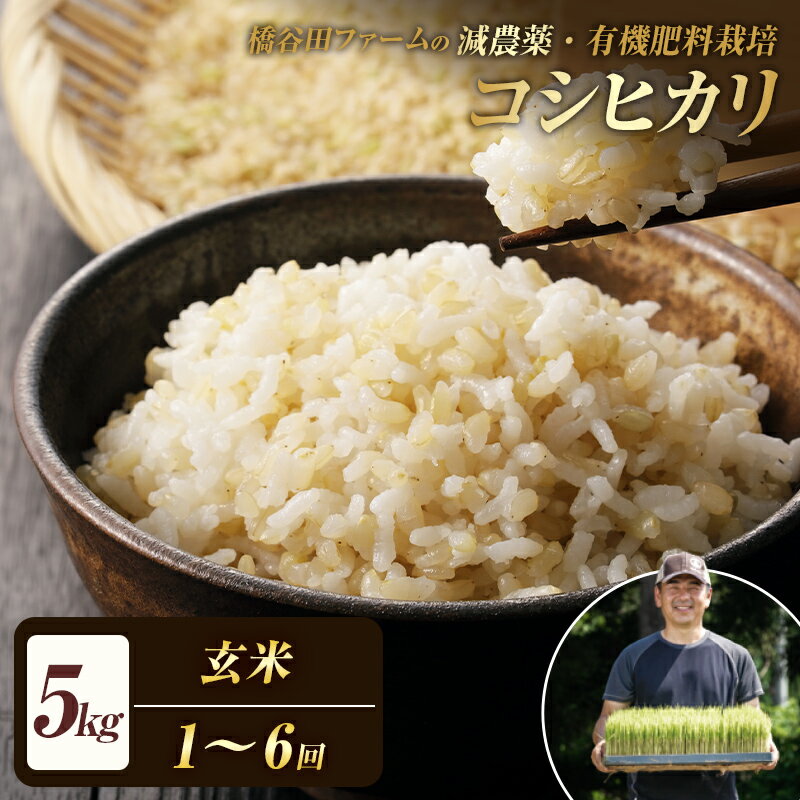 【ふるさと納税】《選べる定期便》減農薬・有機肥料栽培 西会津産米コシヒカリ 玄米 5kg 米 お米 おこめ ご飯 ごはん 福島県 西会津町 容量が選べる F4D-0294var