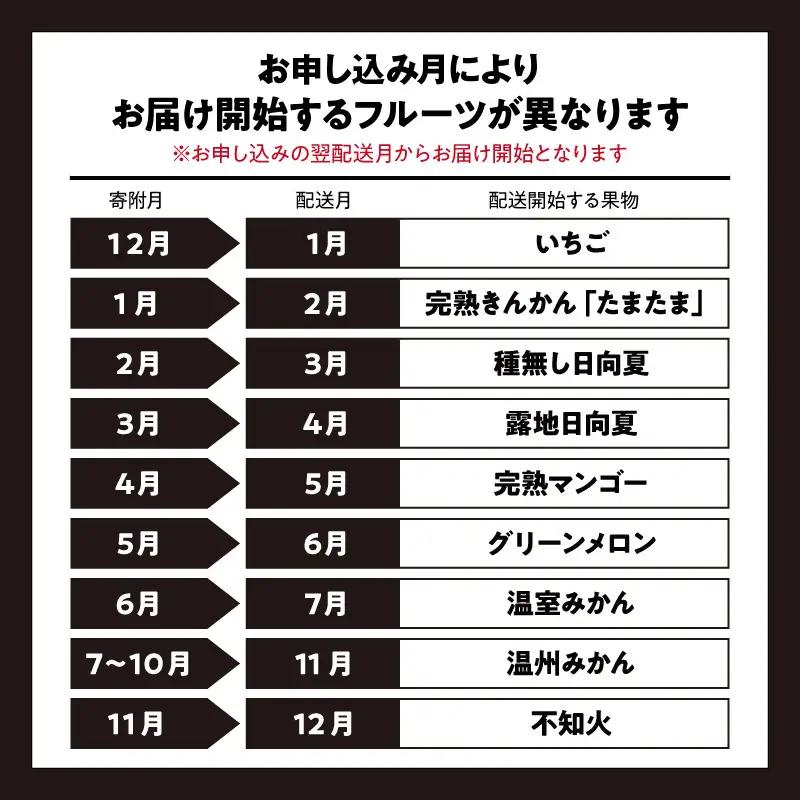 フルーツ 定期便 フルーツ [青果店厳選 くだもの 果物 Vol.1 全9回]