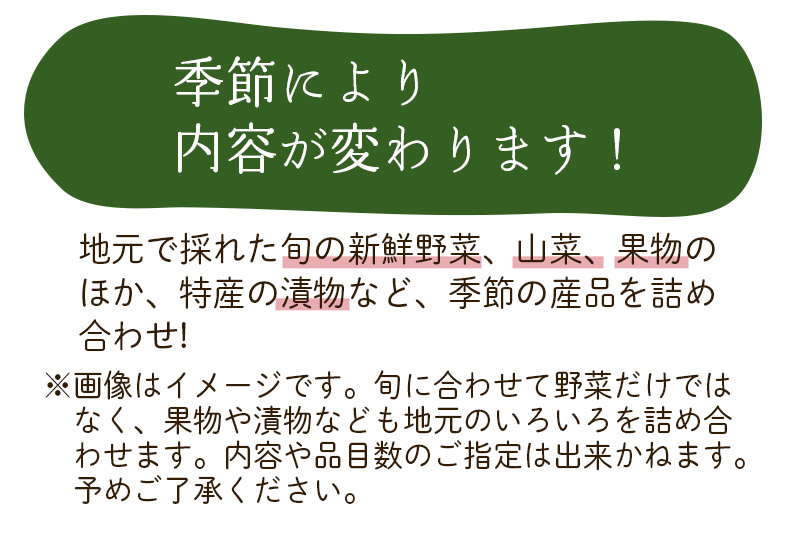 季節の産直詰め合わせ 野菜 山菜 果物 フルーツ お菓子 漬物 など