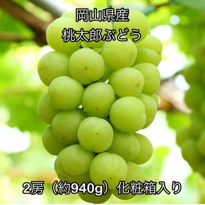 【2026年発送】岡山県産 桃太郎ぶどう 2房(約940g)化粧箱入り【配送不可地域：離島】【1710832】