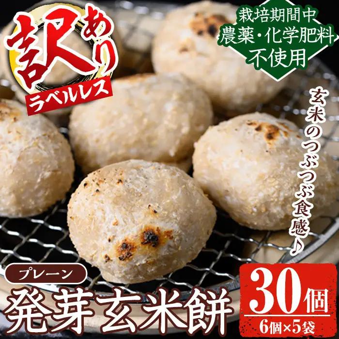 《訳あり！先行予約！2026年12月以降順次発送》発芽玄米餅 計30個(プレーン6個×5袋) ラベルレス！栽培期間中農薬・化学肥料不使用の自家製もち玄米をお餅に！ お餅 餅 おもち もち げんまい 玄米 農薬不使用 化学肥料不使用 訳あり 訳アリ ワケあり ラベルレス オーガニック 有機 有機農業 【雲月農園】_y454-2612