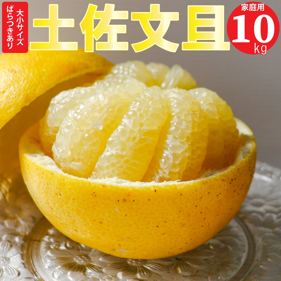 【ふるさと納税】＜土佐文旦（家庭用）10kg 【数量限定】＞高知県 佐川町 特産 柑橘 【常温】サイズばらつきあり：L～4L混合　予約受付中 ＜2027年2月～3月頃発送予定＞