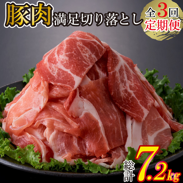 【DT009】【定期便・全3回】九州産 豚肉満足 切り落とし 定期便（豚肉 切り落とし 小間切れ 定期便）