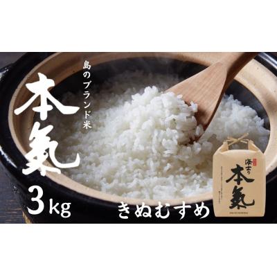 ふるさと納税 海士町 島のブランド米「本氣米」3kg(きぬむすめ)