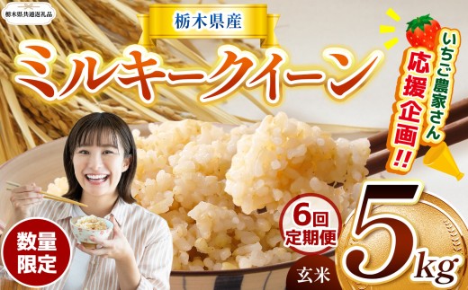 【栃木県共通返礼品】【先行予約】【定期6回】 訳あり 数量 限定 定期便 令和8年度産 ミルキークイーン 約 5kg| とちぎの星 ミルキークイーン お米 kome okome ご飯 米 玄米 白米 ごはん おいしい ふるさと納税 那珂川町 栃木県 送料無料