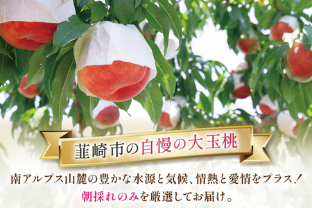 【2026年発送】 桃 山梨 大玉 5～6玉 約 2kgもも モモ 2キロ 果物 フルーツ くだもの 果実 朝採れ 朝どれ 旬 季節限定 期間限定 数量限定 冷蔵 大玉桃 デザート 農園直送 産地直送