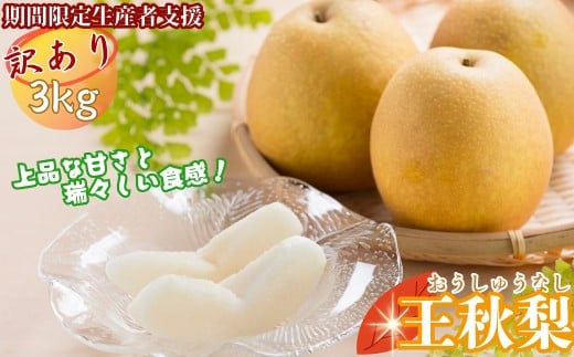 【期間限定生産者支援・今シーズン発送！】【訳あり】王秋梨 3kg