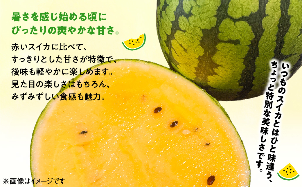 【先行予約・2027年4月下旬～発送】千葉県山武市産の黄こだまスイカ約８㎏～10㎏（4個セット）　 SMDC001