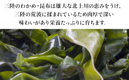 宮城県産 マルイチ西條水産の 塩蔵わかめ 1.3kg(130g×10袋) 石巻市
