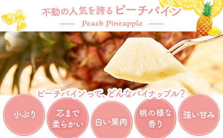 2025年 先行予約 ピーチパイン 約3kg 4～5玉 甘熟 西表島ふる～つらんど 不動の人気No.1 果物 フルーツ パイン 果物 ﾌﾙｰﾂ　ﾊﾟｲﾝ 