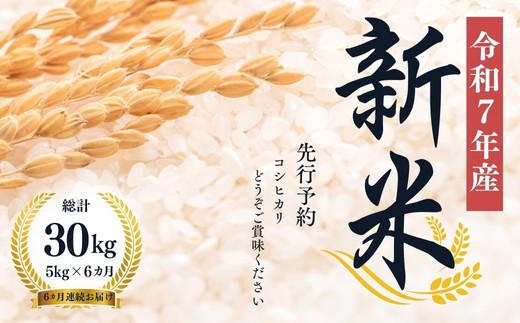 No.1502【令和7年産】大文字屋米穀店【定期便6回】コシヒカリ 5kg 精米（6か月連続お届け）