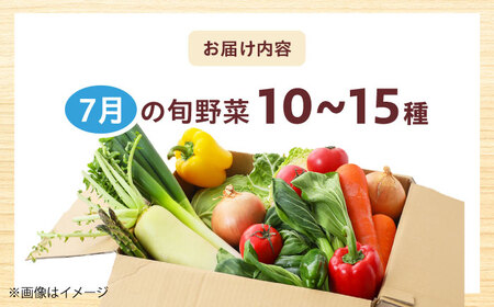 高槻野菜おまかせ詰め合わせセット 7月（10種〜15種）[AOCS013] 野菜セット