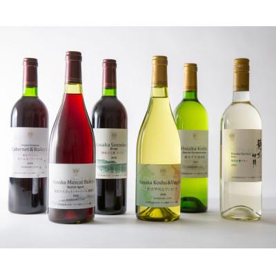 ふるさと納税 韮崎市 韮崎産赤白ワイン飲み比べ6本セット　750ml×6本