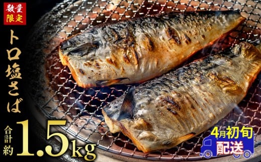 訳あり トロ 塩サバ フィレ 約1.5kg 鯖 さば 訳アリ わけあり 切り身 切身 塩さば 塩鯖 フィレ フィーレ 魚貝 魚介 人気 冷凍 冷凍食品 大容量 海鮮 家庭用 レシピ おかず おつまみ 惣菜 弁当 不揃い 規格外 傷 味噌煮 煮付け 竜田揚げ 南蛮漬け グルメ 贈答 贈物 ギフト 長期保存 小分け 炊き込み お取り寄せ ふるさと納税 ふるさと納税鯖 送料無料 千葉県 銚子市 飯田商店