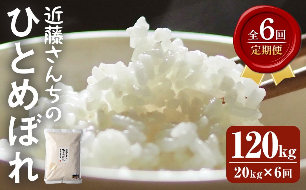 
            【6回定期便】≪令和7年産≫ ひとめぼれ 精米 計120kg(20kg×6回) 宮城県登米市産 お米 おこめ 米 コメ 白米 ご飯 ごはん おにぎり お弁当 6か月 頒布会【株式会社近藤農産】tm500
          