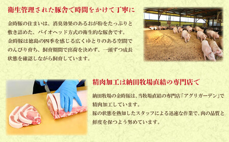 豚丼 レトルト 4箱 ブランド豚 金時豚 国産 レトルト食品 豚 ぶた 時短 手軽 肉 お肉 豚肉 惣菜 簡単調理 常温保存 徳島県 阿波市