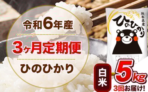 令和6年産 【3ヵ月定期便】白米 ひのひかり 定期便 5kg 5kg×1袋《お申込み翌月から出荷開始》 熊本県産 精米 ひの 米 こめ ヒノヒカリ コメ お米