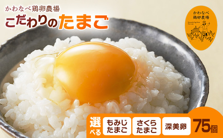 【品種を選べる】かわなべ鶏卵農場のこだわりのたまご75個/こだわり 国産 青梅市産 鶏 鳥 卵 たまご タマゴ 玉子 朝食 卵かけご飯 ＴＫＧ ゆでたまご 赤玉 卵黄 卵白 健康 青梅市 さくらたまご