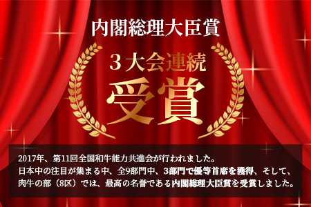 【定期便 6回】受賞歴多数!! 宮崎牛【牛肉の王様 King(キング)のバラエティ定期便】【ヒレステーキ・ロースステーキ・肩ローススライス・ウデスライス・モモ焼肉】