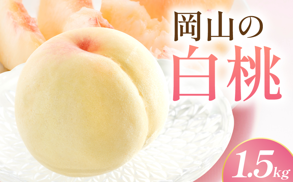 【先行予約】岡山の白桃・晩生　1.5kg箱　9月上旬から順次発送予定 約1.5kg箱