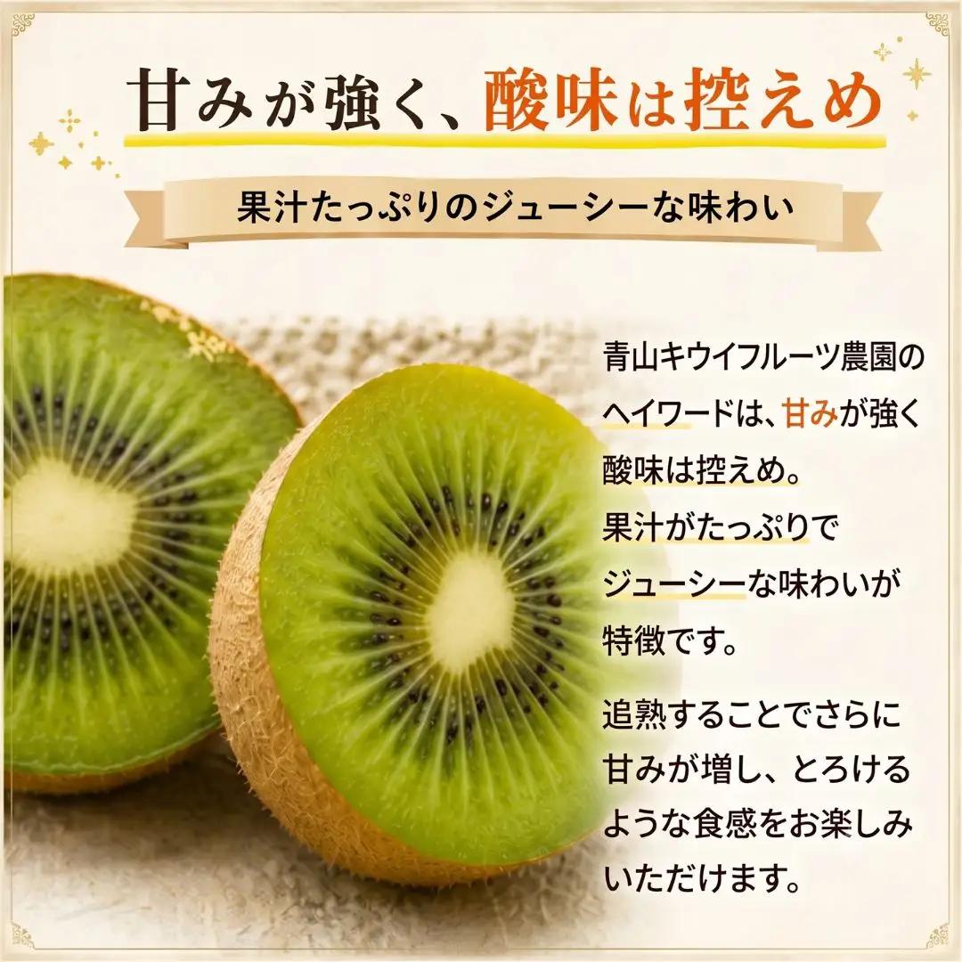 キウイフルーツ ヘイワード 特大サイズ 12玉 約2kg 追熟処理済み 化粧袋付き 12月下旬発送分