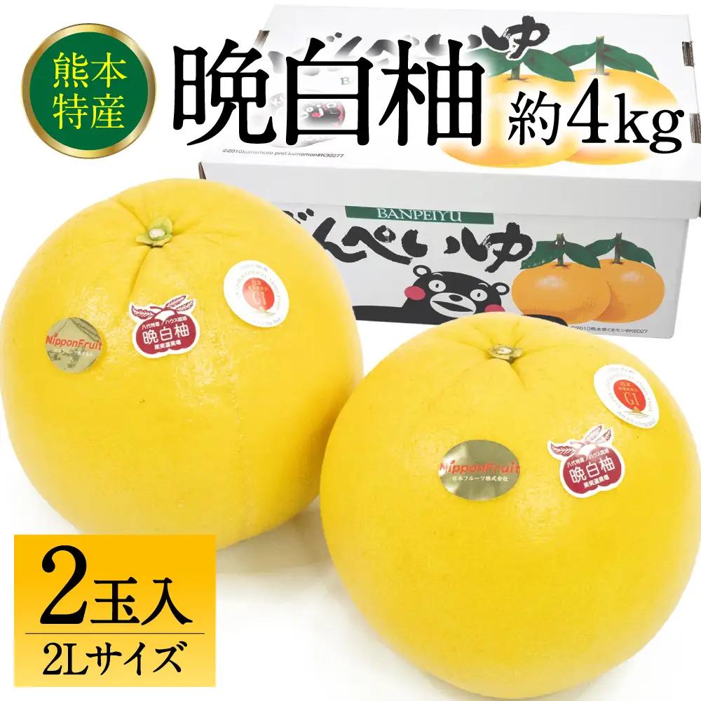 【先行予約】 晩白柚 ばんぺいゆ 2Lサイズ 2玉 約4kg 晩白柚 柑橘 【2026年12月上旬より順次発送】