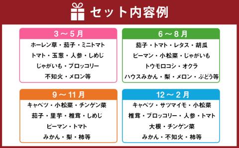 【8種類】熊本県産 肥後の国 旬の野菜と果物の詰め合わせ セット