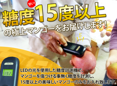【 先行予約 2027年発送 】マンゴランのこだわりマンゴー秀品 2kg