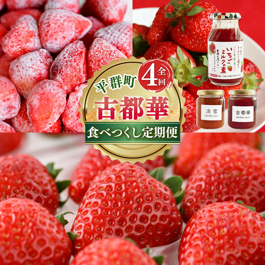 【ふるさと納税】【 定期便 4回 】 濃紅 の 宝石 へぐり の 古都華 食べつくし | フルーツ 果物 くだもの 特産品 いちご 古都華 ことか 高糖度 糖度 12以上 赤い 定期便 食べつくし 奈良県 平群町 高級 ブランド苺 旬 産地 直送 限定出荷