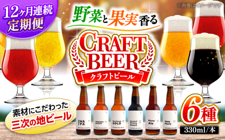 【全12回定期便】クラフトビール（地ビール）6種類[APCA006] ビール