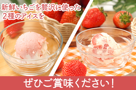 いちご アイス 2種×5個 アイス