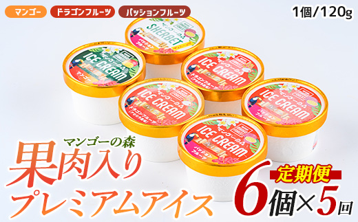 【全５回定期便】ゴロゴロ果肉入りアイス6個入定期便(マンゴーの森/IBZ040-003) アイス フルーツ マンゴー スイーツ シャーベット